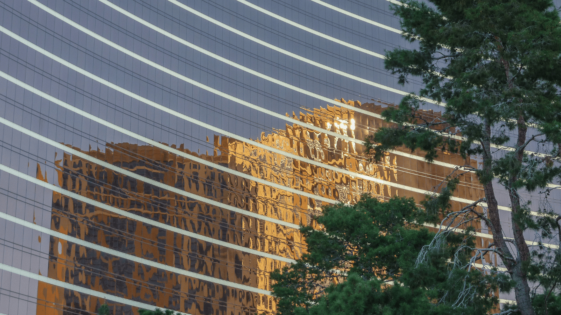 Glass building facade reflecting golden structures, with the foreground featuring green trees and curved white lines.